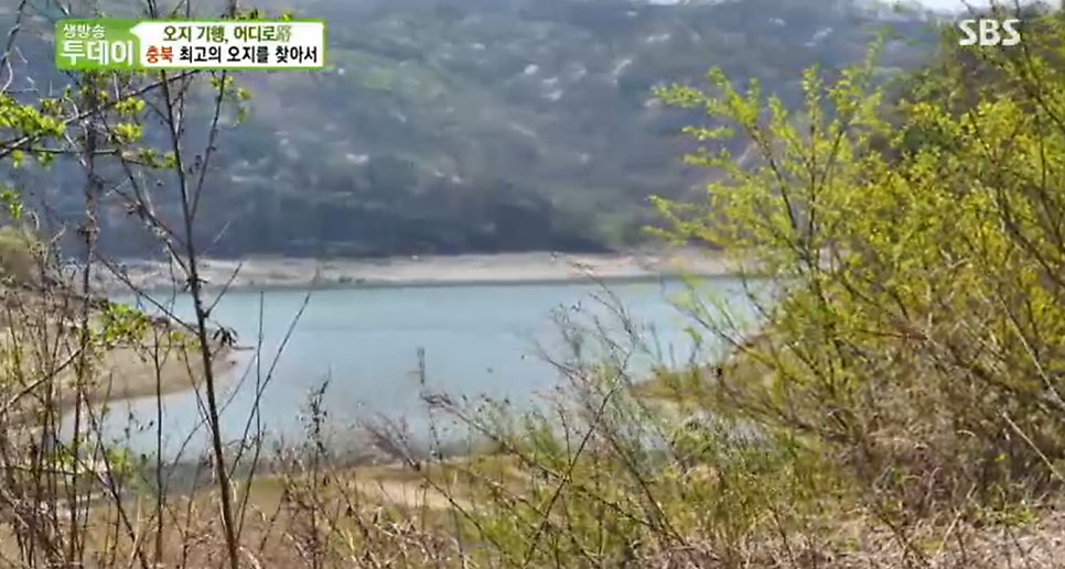 다라골 사진 3