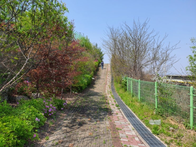  천안 풍세산업단지 태학산 산책로