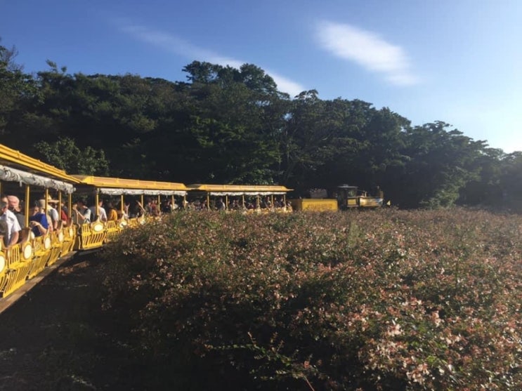  [제주도 가볼만한 곳] 2박3일ㆍ하나투어 패키지여행ㆍ우도유람선ㆍ성산일출봉ㆍ성읍민속마을(마 과립 플러스)ㆍ스카이워터ㆍ에코랜드ㆍ해녀촌 (3)