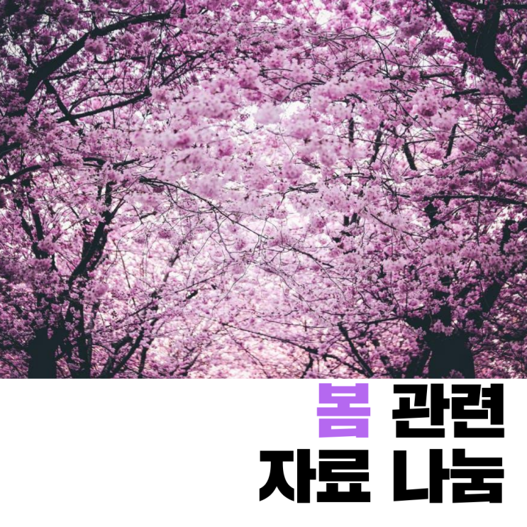  봄(spring) 관련 영어 동요와 활동지 나눔