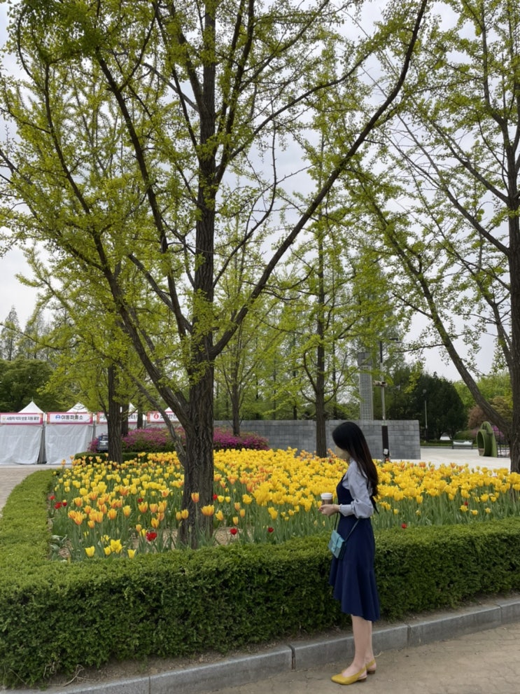 일산호수공원)고양꽃박람회~봄꽃축제~사진찍기 좋은 곳 & 청담초밥 런치!!!