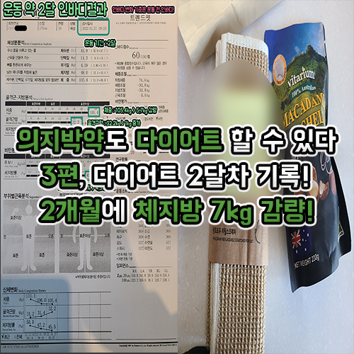 다이어트 두달 체지방 7kg 감량하기!! (3편)