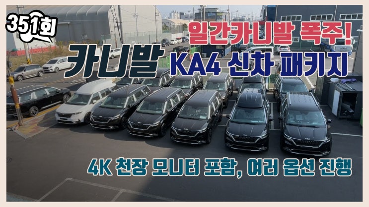  카니발 천장모니터와 신차패키지 이런 구성도 좋네요!