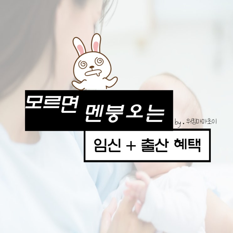  2022년 임신 출산 지원금 및 바우처 혜택 모음. zip.