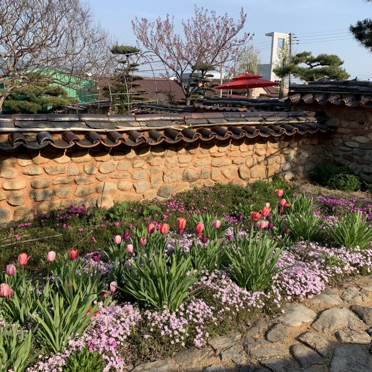  전북 먹킷리스트 : 분위기 좋은 한옥에서 힐링하고 싶다면, 익산 왕궁다원