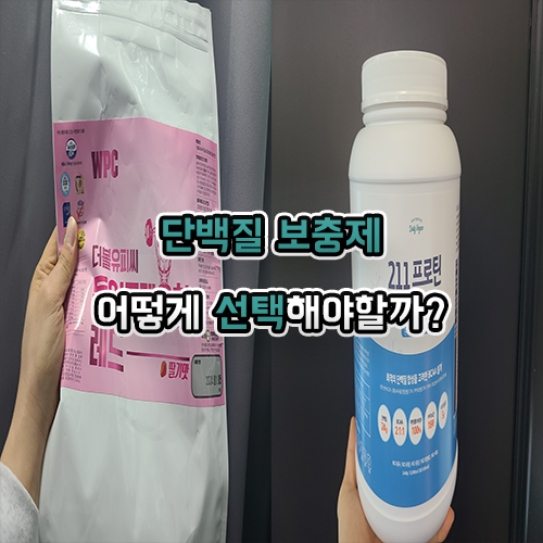  단백질보충제 고르는 법 알아봅시다!(WPC, WPH, WPI, WPIH)
