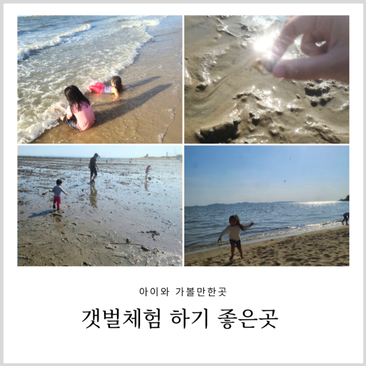 아이와 직접 가본 갯벌체험 하기 좋은곳 (제부도 대부도 강화도 마시안해변 등) 아이와 직접 가본 갯벌체험 하기 좋은곳 (제부도 대부도 강화도 마시안해변 등)