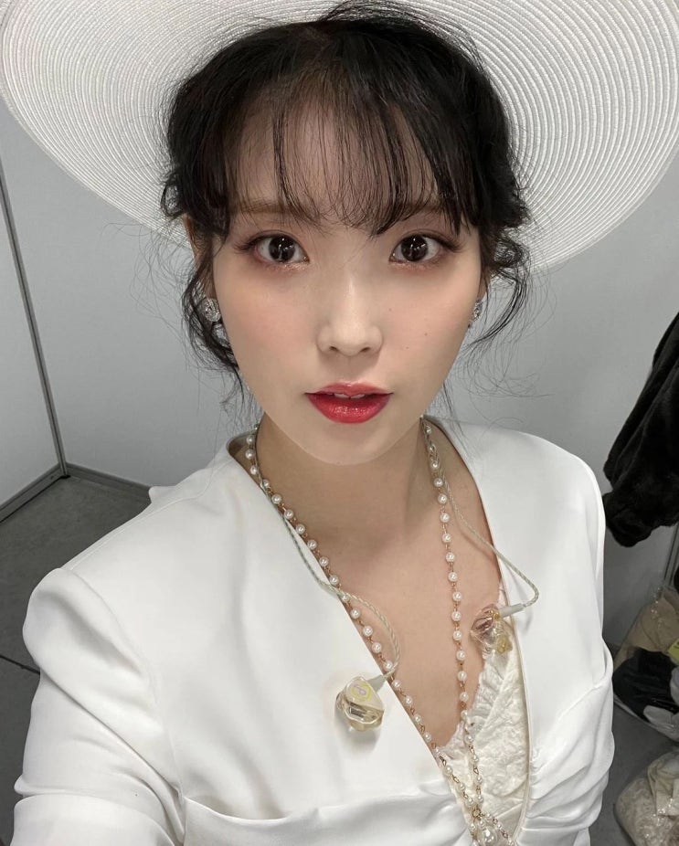 K-POP 여자 솔로 가수 재산 보유 현황, 1위 아이유 2위 이효리 3위 산다라박 K-POP 여자 솔로 가수 재산 보유 현황, 1위 아이유 2위 이효리 3위 산다라박
