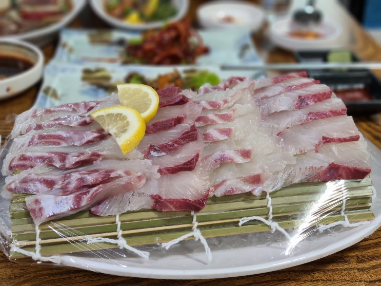  제주 서귀포 가성비횟집, 회좀 하는 동홍동 아싸횟집 내돈내산 후기