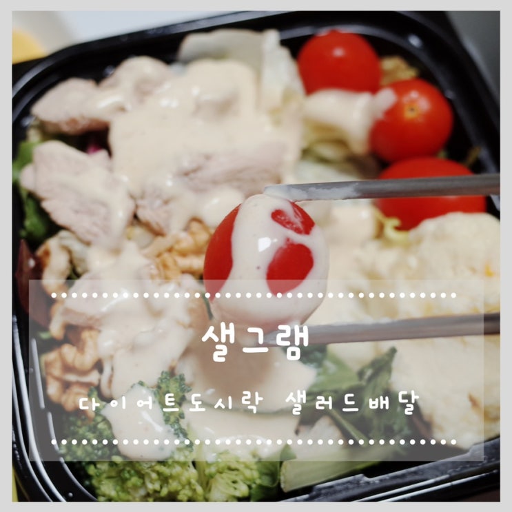  샐러드배달 샐그램 건강한 도시락:)