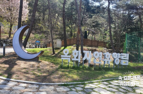  청주시 옥화자연휴양림 숙박 시설 전면 개방