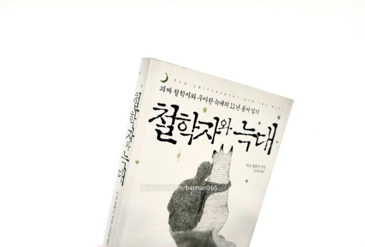  철학자와 늑대 - 마크 롤랜즈