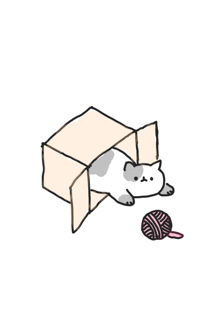 상자 속 고양이
