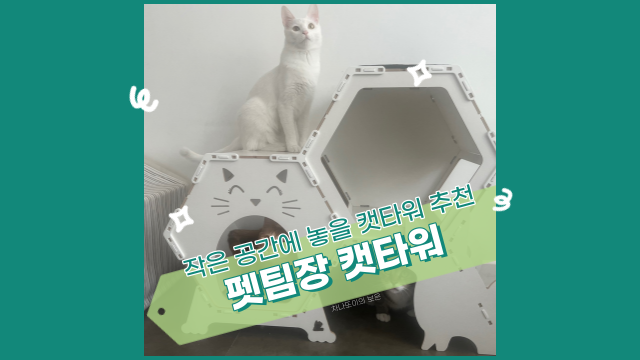  고양이 캣타워 추천 펫팀장 원하는 높이가 가능해요! (feat. Wit)
