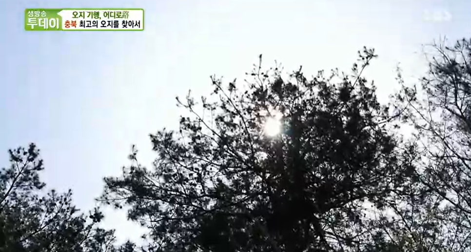 다라골 사진 2