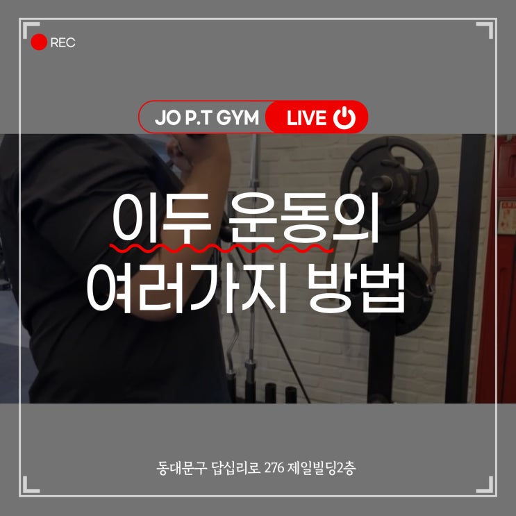  장안동헬스장 장안동피티 장안동헬스 [다은트레이너와 팔운동]