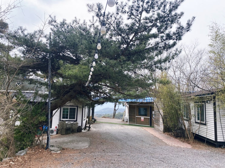 내돈내산) 대구 맛집-팔공산 방갈로에서 토종 백숙, 삼겹살 구이 먹을 수 있는 곳 부촌 가든