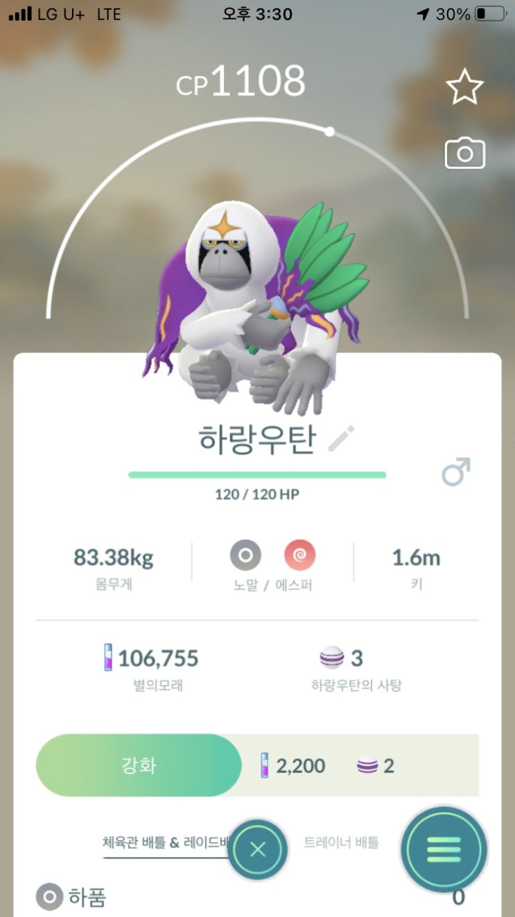  하랑우탄