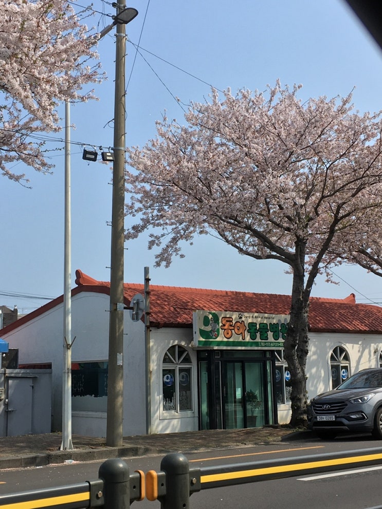  3박4일 제주여행, 나혼자여행 - 3,4일차