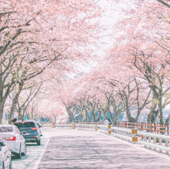  일산 루나라운지 공간대여 고객 후기