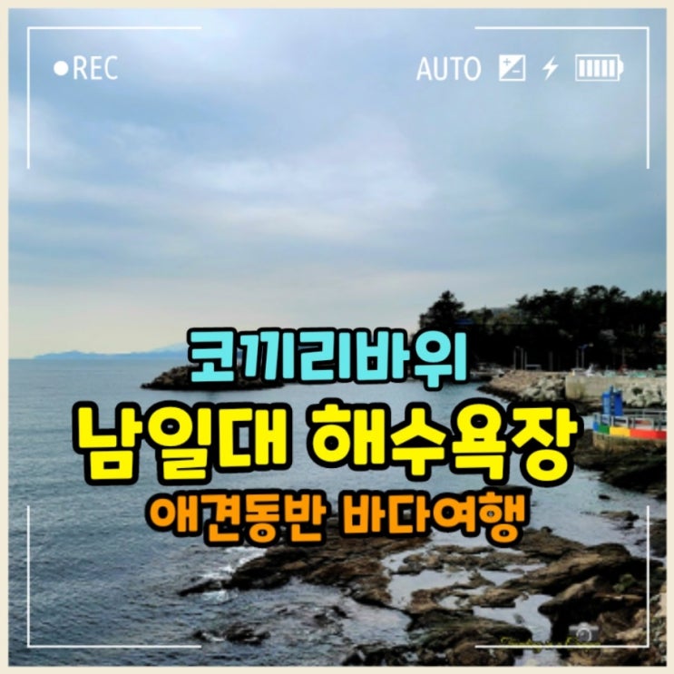  사천 애견동반 남일대해수욕장 남해 바다 가볼만한곳 코끼리바위