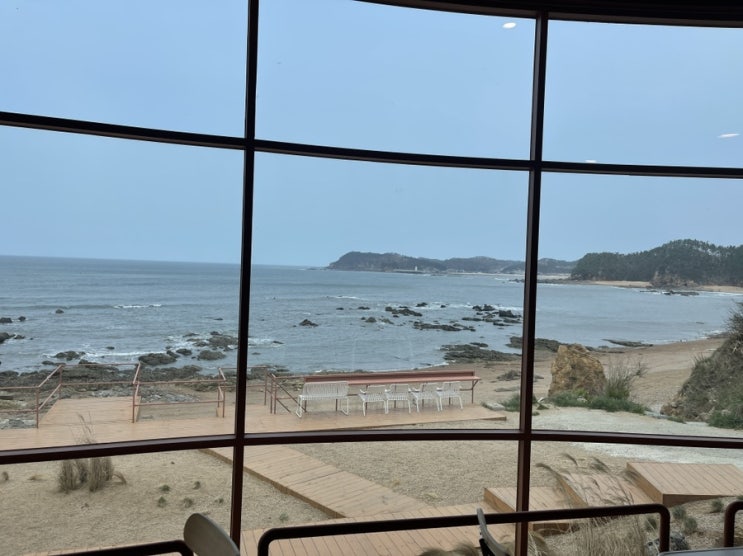 오늘은 장전소식이 쉽니다 