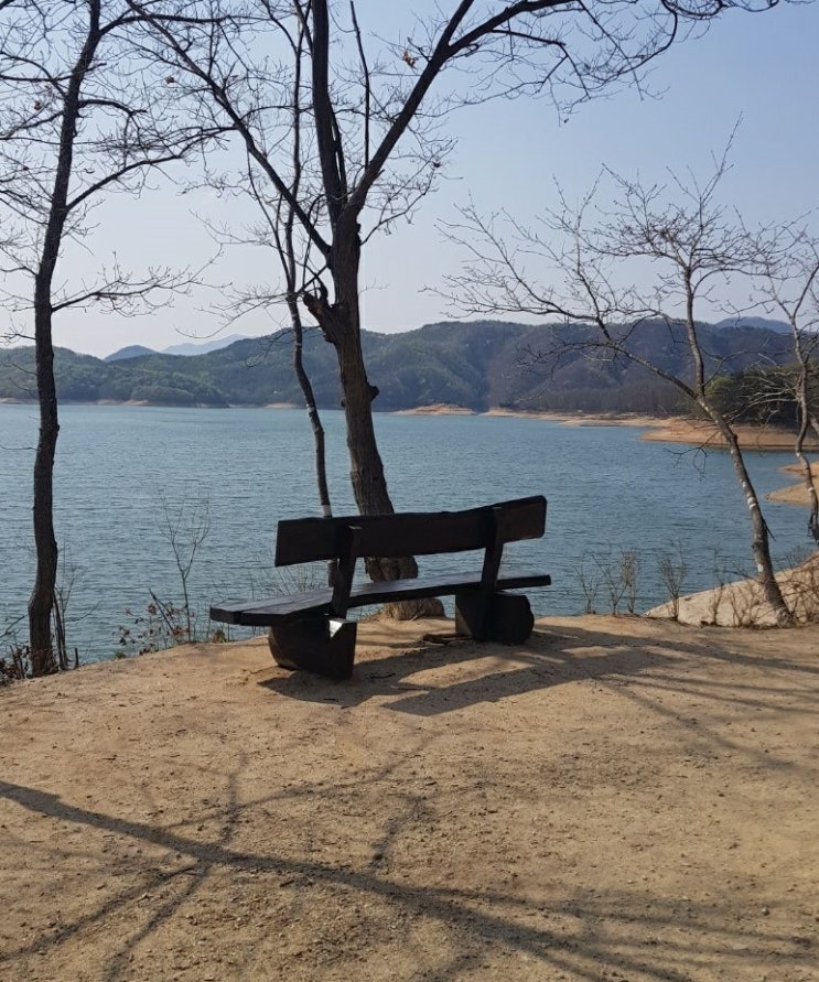  경자일주 아이를 키우는 일
