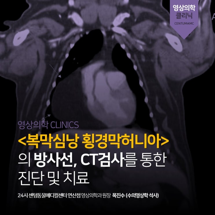 11살 페키니즈 &lt;복막심낭 횡경막허니아&gt; 방사선, CT검사를 통한 진단 및 치료 (부산 24시 센텀동물메디컬센터 연산점 영상의학과&gt;