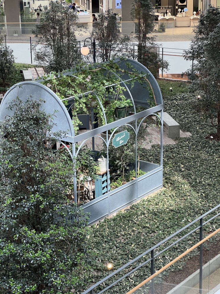  GARDEN EARTH 바질 키우기 (더 현대 서울 이벤트로 바질 키우기 1주 차)