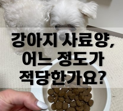  강아지 사료양, 얼마나 줘야 적당한가요?