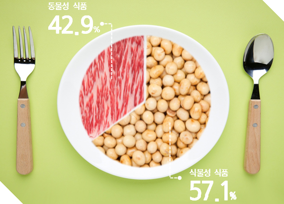 식물성, 동물성 단백질 두 마리 토끼 모두 잡아 필수아미노산 챙기기! 식물성, 동물성 단백질 두 마리 토끼 모두 잡아 필수아미노산 챙기기!