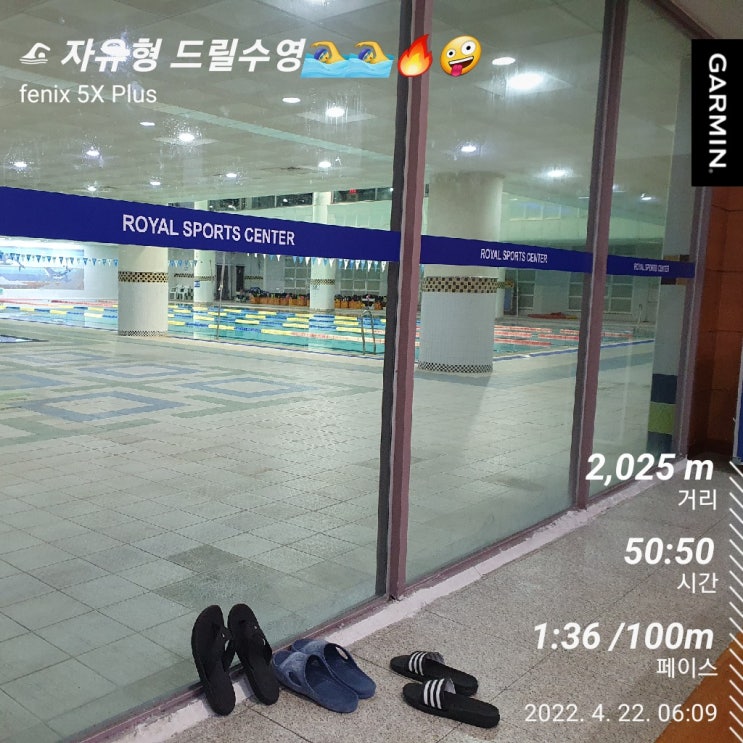  [수영일기] 4월 22일 자유형 잘하는 방법은?