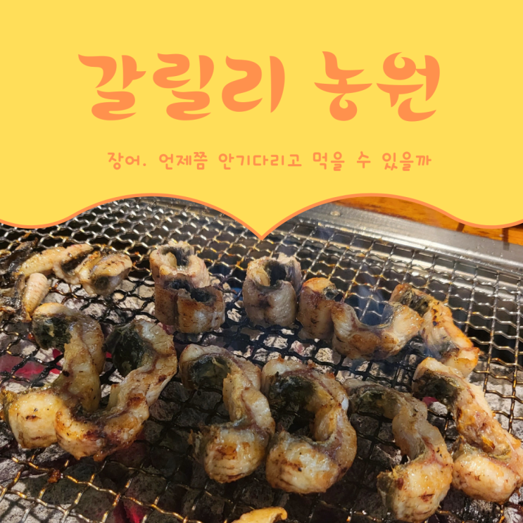  [경기도 파주]장어먹으러 갈릴리 갈릴리요_파주 갈릴리농원