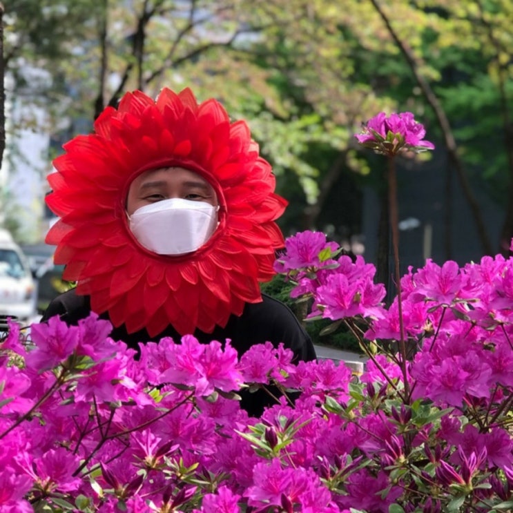  인간카네이션 사람 머리띠 스승의날 어버이날 어린이 이벤트