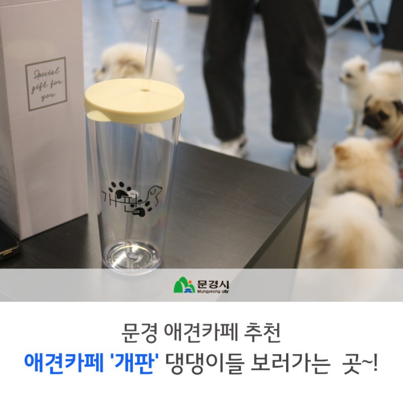 사진 5