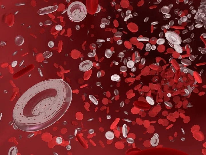 알부민/효능/성분/수치/정상수치/부작용/영양제/섭취법/부작용