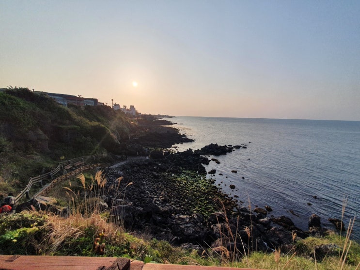  제주도 볼거리 제주동문시장 용두암 성산일출봉 만장굴 정방폭포