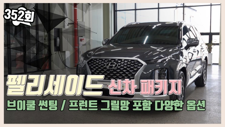 인천 팰리세이드 신차패키지 다양한 옵션으로!