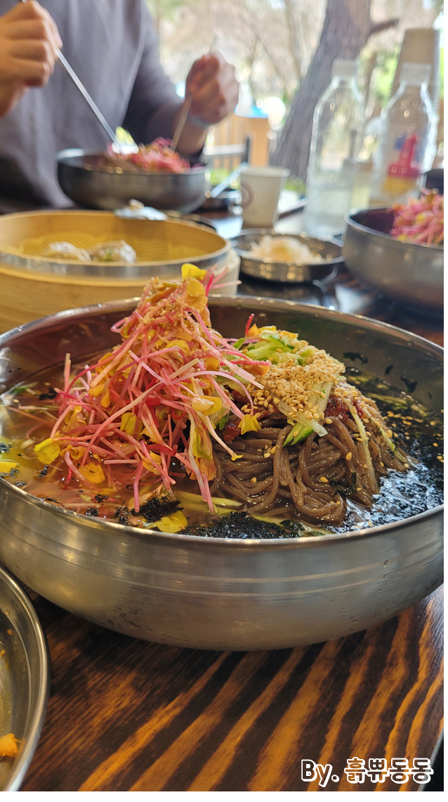 [청주 오창 맛집] 막국수맛집 메밀만두맛집 "원조중앙탑막국수 오창점"
