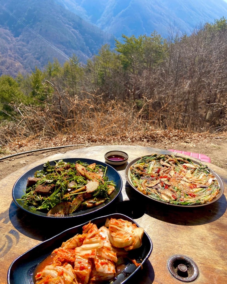 나 살 찌는데 이유있었네...