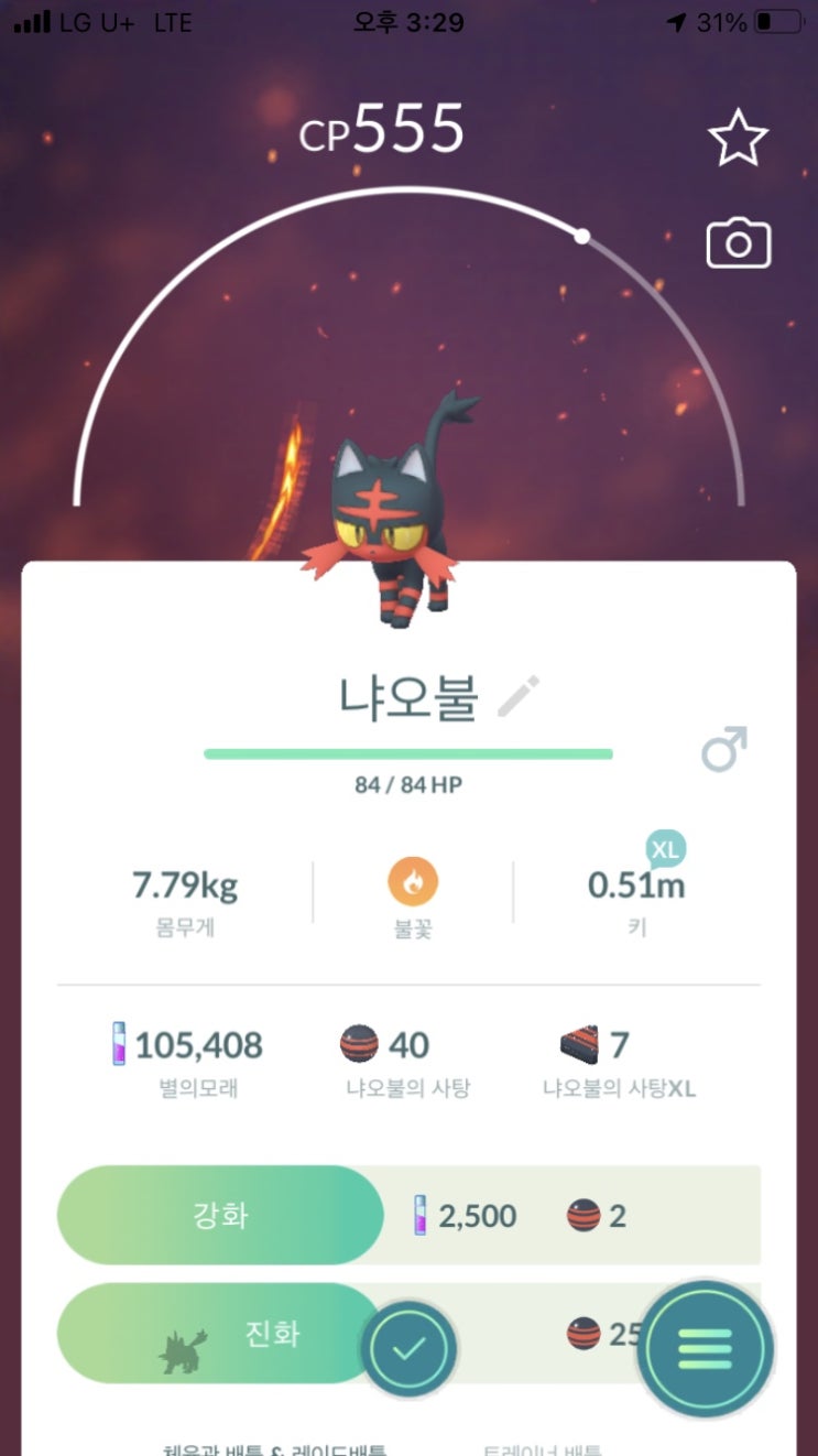  냐오불, 냐오히트