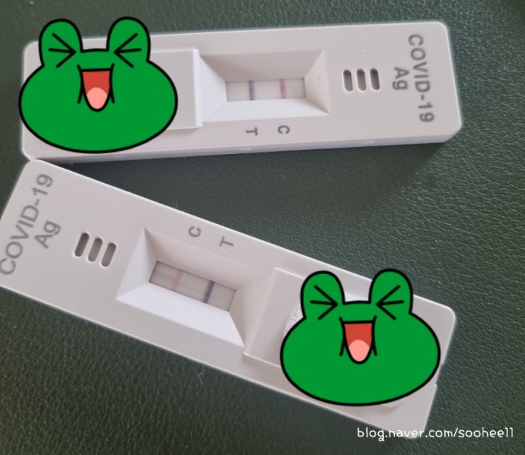  일상｜코로나 확진 증상 자가키트 동거인 PCR 검사