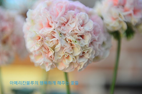오늘도더예쁨 이미지