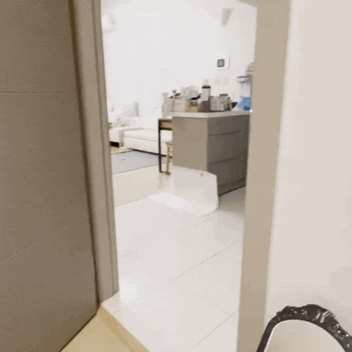  강아지 근육통 증상, 원인과 대처방법