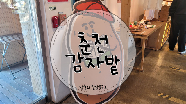  내돈내산) 감자빵으로 유명한 춘천 감자밭