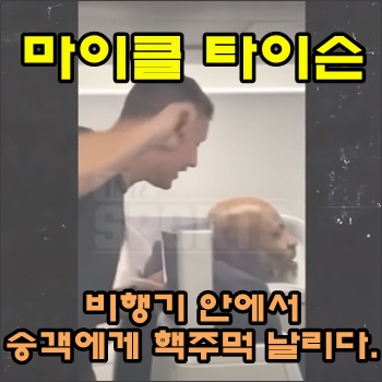 비행기 안에서 승객에게 핵주먹 날린 마이클 타이슨 비행기 안에서 승객에게 핵주먹 날린 마이클 타이슨