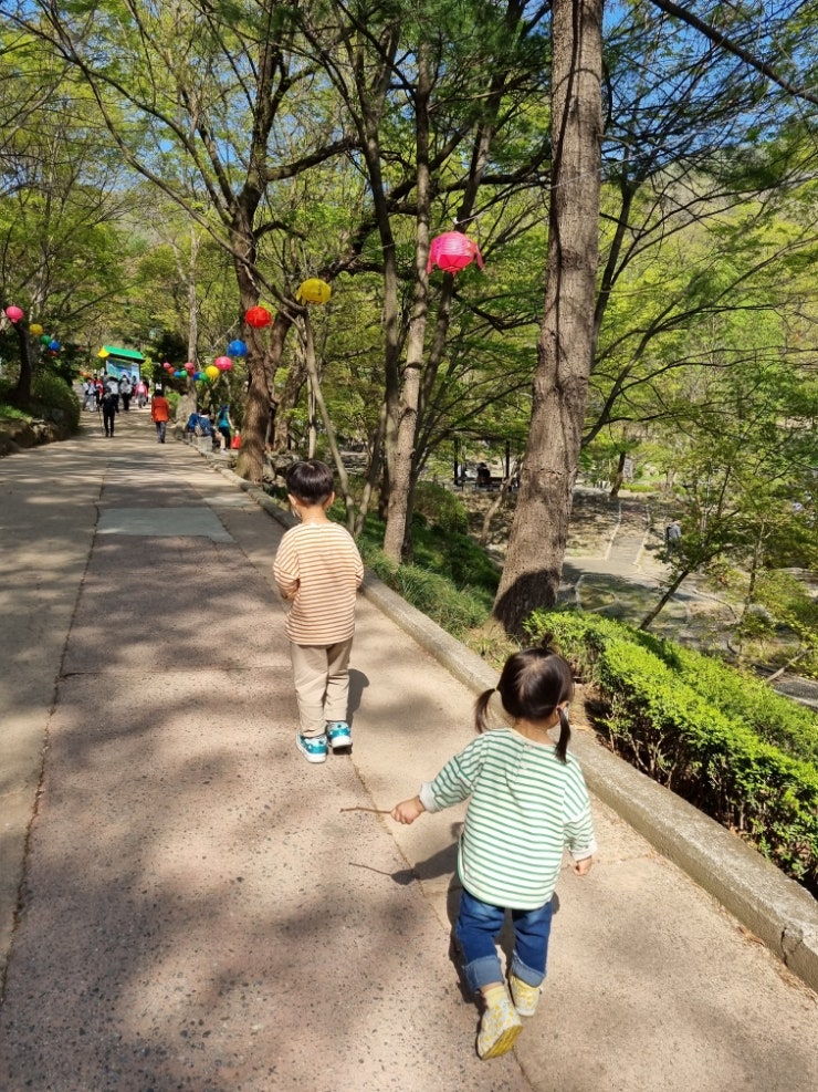 경기 성남, 남한산성 유아 숲놀이터(숲체험)에서 모래놀이하고 올챙이도 만나고. 경기 성남, 남한산성 유아 숲놀이터(숲체험)에서 모래놀이하고 올챙이도 만나고.