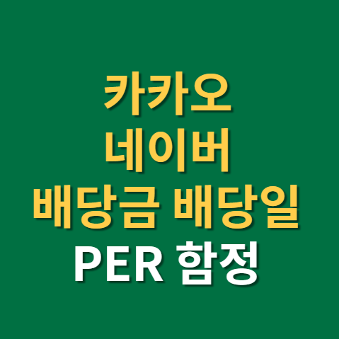  카카오 네이버 배당금 지급일 배당일 주가 전망 실적까지(f. PER의 함정, 구글, 메타)
