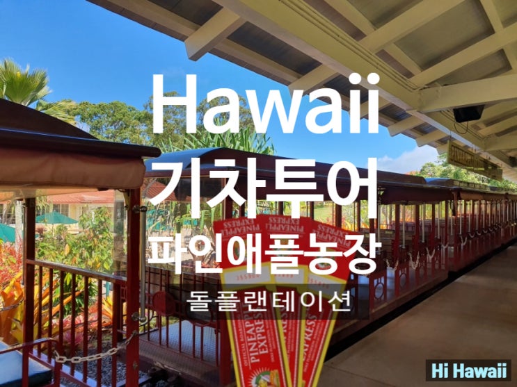  하와이 파인애플 농장 기차 투어_ 기다리지 않고 바로 타는 법, 돌플랜테이션