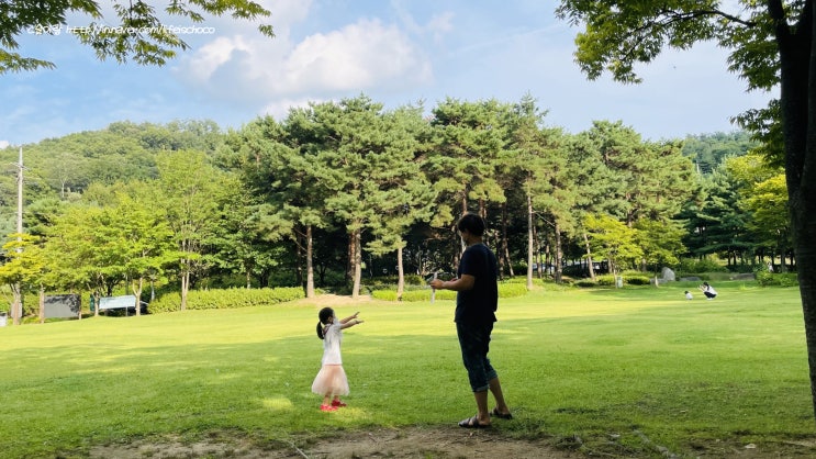  중랑숲캠핑장 아이랑 가기 좋은 서울 피크닉 장소
